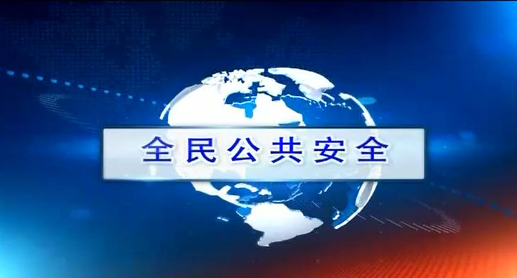 《全民公共安全》一